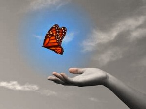 gi-letting-go-butterfly11